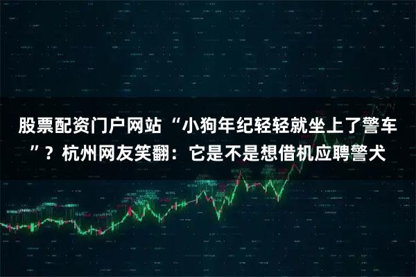 股票配资门户网站 “小狗年纪轻轻就坐上了警车”？杭州网友笑翻：它是不是想借机应聘警犬