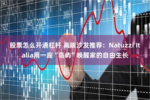 股票怎么开通杠杆 高端沙发推荐：Natuzzi Italia用一座“岛屿”唤醒家的自由生长